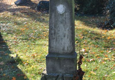 Žatec, Omnium, 2020