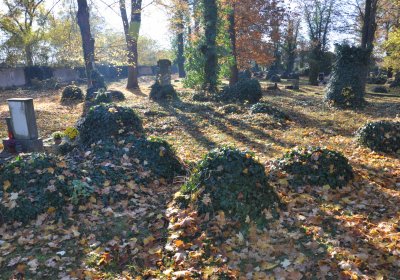 Žatec, Omnium, 2020