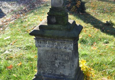 Žatec, Omnium, 2020