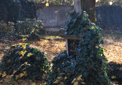 Žatec, Omnium, 2020