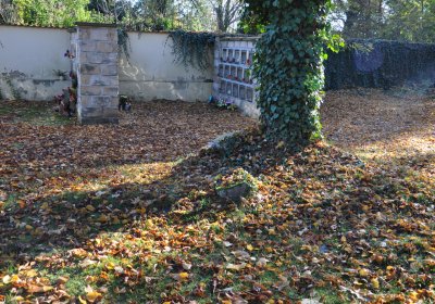 Žatec, Omnium, 2020