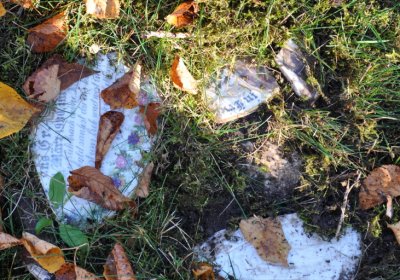 Žatec, Omnium, 2020