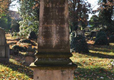 Žatec, Omnium, 2020