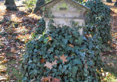 Žatec, Omnium, 2020