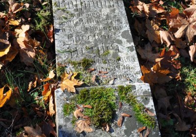 Žatec, Omnium, 2020