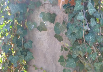 Žatec, Omnium, 2020