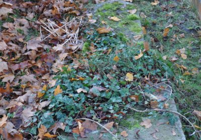 Žatec, Omnium, 2020