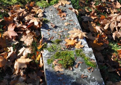 Žatec, Omnium, 2020