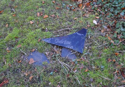 Žatec, Omnium, 2020