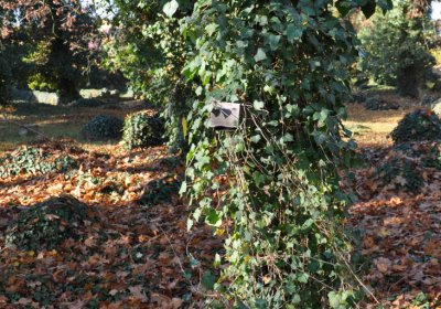 Žatec, Omnium, 2020