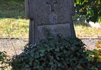 Žatec, Omnium, 2020