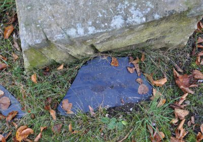 Žatec, Omnium, 2020