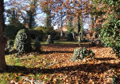 Žatec, Omnium, 2020