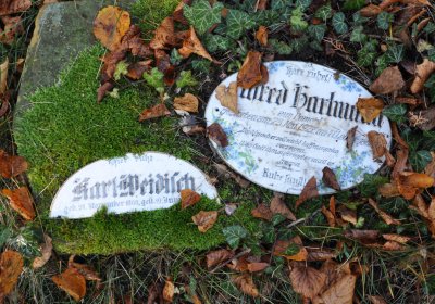 Žatec, Omnium, 2020