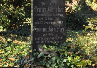 Žatec, Omnium, 2020