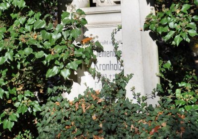 Žatec, Omnium, 2020