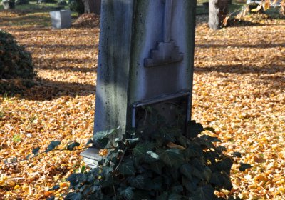 Žatec, Omnium, 2020