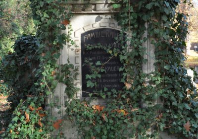 Žatec, Omnium, 2020