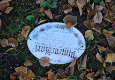 Žatec, Omnium, 2020