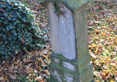 Žatec, Omnium, 2020