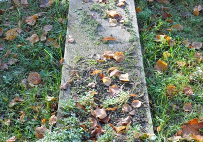 Žatec, Omnium, 2020