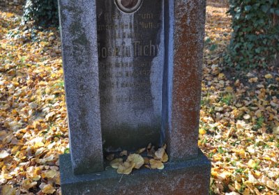 Žatec, Omnium, 2020