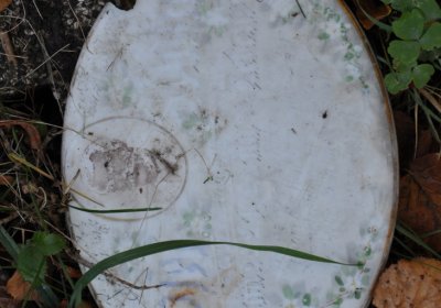 Žatec, Omnium, 2020