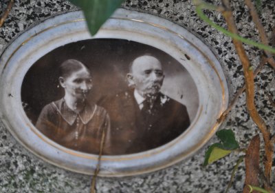 Žatec, Omnium, 2020