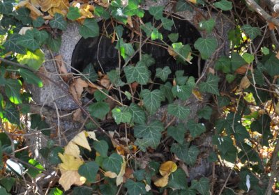 Žatec, Omnium, 2020