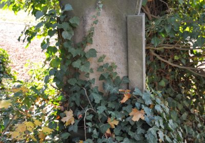 Žatec, Omnium, 2020