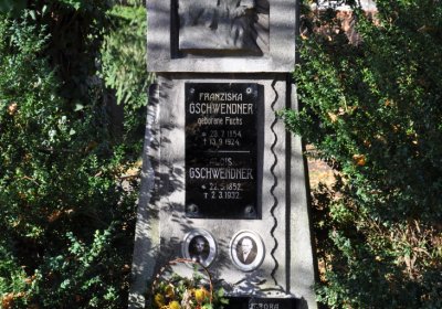 Žatec, Omnium, 2020