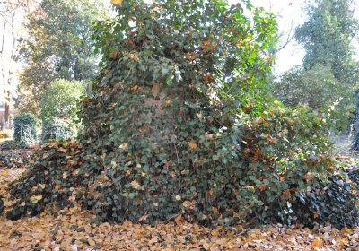 Žatec, Omnium, 2020