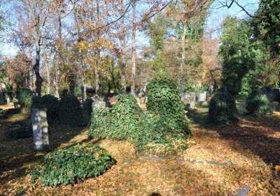 Žatec, Omnium, 2020