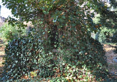 Žatec, Omnium, 2020