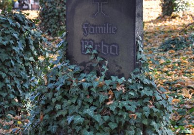 Žatec, Omnium, 2020