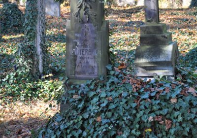 Žatec, Omnium, 2020