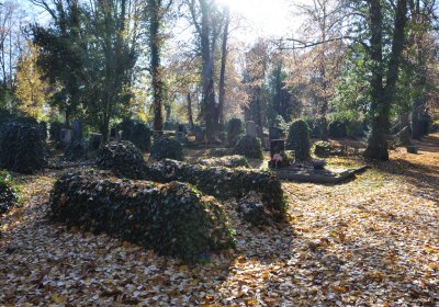 Žatec, Omnium, 2020