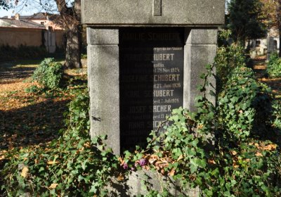 Žatec, Omnium, 2020