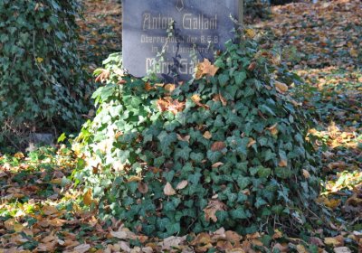 Žatec, Omnium, 2020