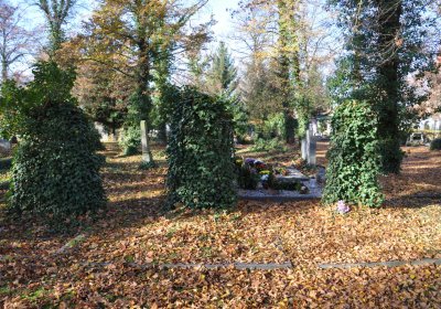 Žatec, Omnium, 2020