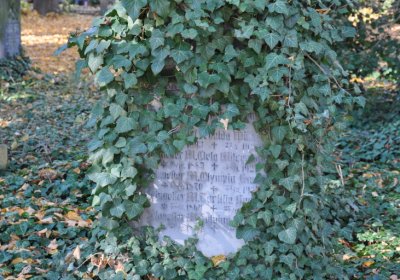 Žatec, Omnium, 2020