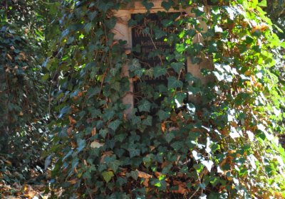 Žatec, Omnium, 2020