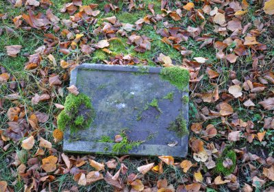 Žatec, Omnium, 2020