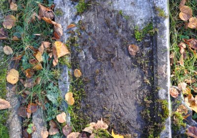 Žatec, Omnium, 2020