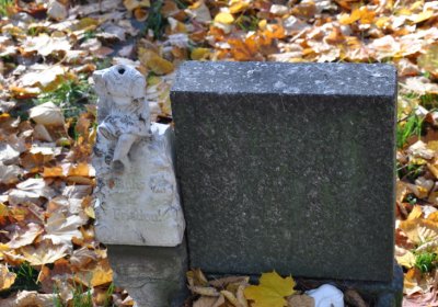 Žatec, Omnium, 2020