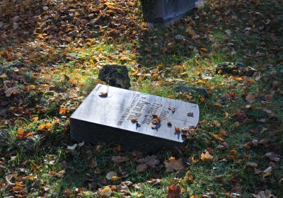 Žatec, Omnium, 2020