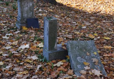 Žatec, Omnium, 2020