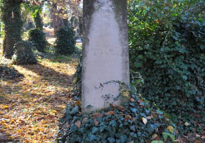 Žatec, Omnium, 2020