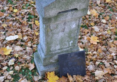 Žatec, Omnium, 2020