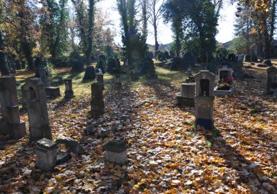 Žatec, Omnium, 2020